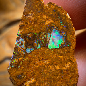Wildcard! 38.4cts - Tribal Yowah Nut Opal Rough Piece