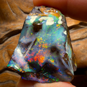 “Set in Stone” - Private Collector Acquisition- “Genesis” 247.1cts - Top Australian Boulder Seam Opal Specimen Polished