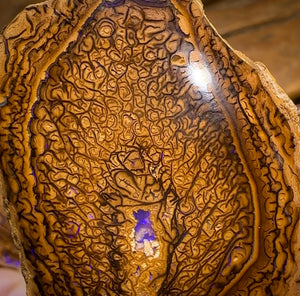 209.4cts - “Tribal Leaves” Yowah Nut Opal Polished Specimen Pair