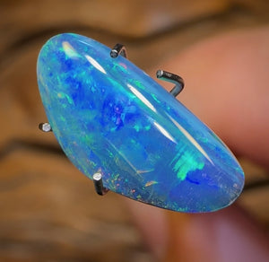 1.6cts - Opal Fossil Pipi Shell Australian Boulder Doublet - Opal Whisperers