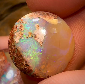 34.9cts - 3x Finished Queensland Boulder Pipe Opals. Wholesale Dealers Parcel