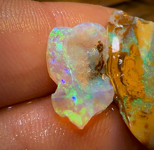 Cut or Carve Combo 12.1cts - Yowah Nut Crystal Centre and Opal Wood Rough Pair