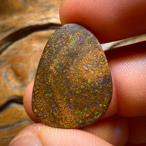 22.1cts - Tan Tribal Queensland Boulder Opal from Yowah. Electric Colour