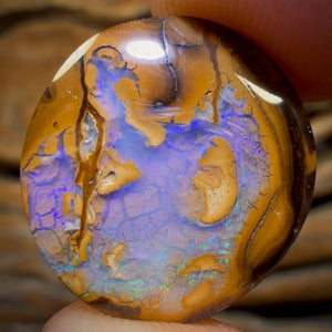 Opalfest WildCard 60 %OFF 9.9cts - Yowah Nut Opal. Australian Boulder Opal