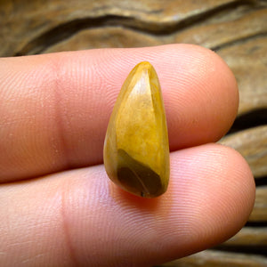 🔨 AUCTION 🔨 💎 High Roller Banger Auction 💎 5.6cts - South Australian White Opal from Coober Pedy