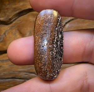 56.1cts - Tribal Koroit Nut Opal. Australian Opal - Opal Whisperers