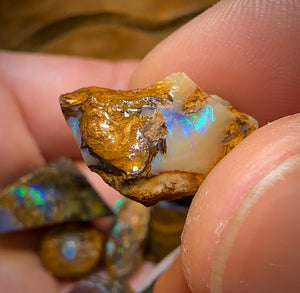122.5cts - 10x Mixed Queensland Boulder Opal Rough Parcel