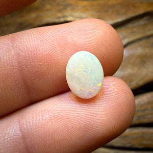 🔨 AUCTION 🔨 2.1cts - South Australian White Opal from Coober Pedy