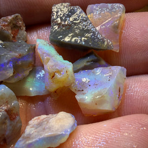 59.7cts - 14x Lightning Ridge Opal Rough Parcel