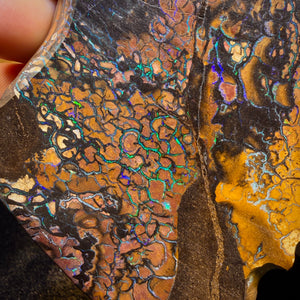 4278cts(Nearly 1 kg) - GIANT Tribal Yowah Nut Opal Pair. Polished Specimens