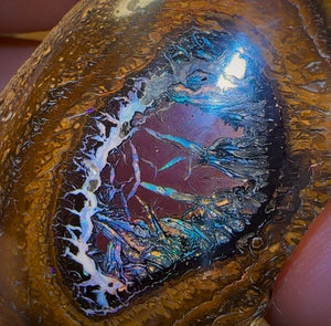 401.5cts - Yowah Nut Tribal Kernel Opal Specimen Pair