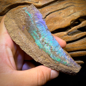 781.5cts - LARGE Queensland Boulder Seam Opal Rough Specimen