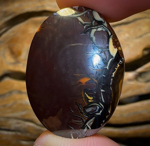 Auction Fall-Through = Your Gain! 🔥 Now More Than 50% Off RRP 🚨 59.3cts - Queensland Boulder Opal from Koroit