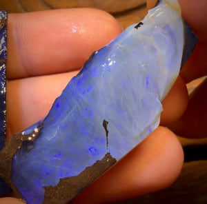 🔒 I’ve Got the Blues Collection 195.9cts - 3x Australian Boulder Seam Opal Rough Parcel