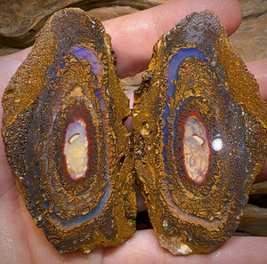 495.1cts - Yowah Nut Rough Specimen Pair. Australian Boulder Opal - Opal Whisperers