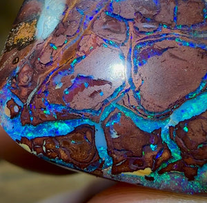 50.3cts - Tribal Australian Boulder Opal. Aquatic Pattern - Opal Whisperers