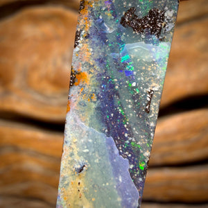 WILDCARD! 22.1cts - Australian Boulder Seam Opal