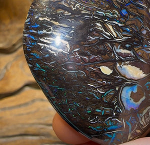 243.3cts - Top Tribal Art Australian Boulder Opal Specimen Polished - Opal Whisperers
