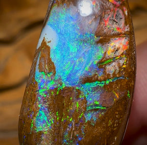 32.5cts - Magnificent Wood Fossil Opal from Yowah - Opal Whisperers