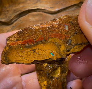 337.3cts - 3x Yowah Nut Rough Opal Parcel. Queensland Boulder Opal - Opal Whisperers