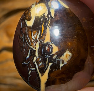 42.5cts - Queensland Boulder Opal from Koroit