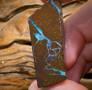 95cts - Australian Boulder Opal Rough Preform. Natural Split - Opal Whisperers