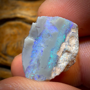 13.1cts - Lightning Ridge Opal Rough Piece. Isaac’s Cutter’s!