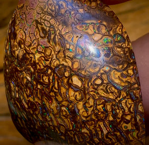 73.3cts - Queensland Boulder Opal from Yowah. Red Tribal