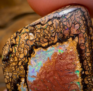 43.6cts - Yowah Nut Tribal Opal. Double Sided - Opal Whisperers