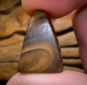 37.2cts - “ Coffee Kernel Frog ” Yowah Nut Polished Specimen Picture Stone