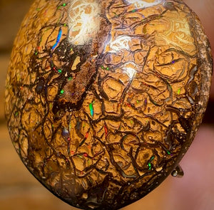 12.3cts - Tan Tribal Yowah Nut Opal. Multicolours!