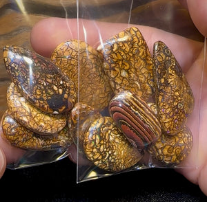 Yowah Tribal Opal Parcel. BULK LISTING - 5 FOR $499 PLUS 6th ONE FREE!!! - Opal Whisperers