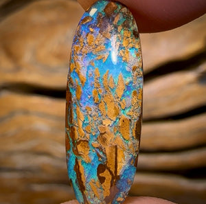 Auction Fall-Through = Your Gain! - Now More Than 50% Off RRP - 5.8cts - Australian Boulder Opal Fossil Wood Replacement Yowah. Double Sided!