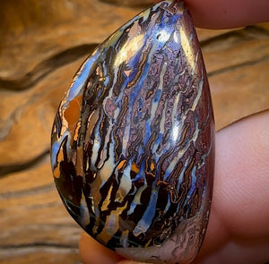 111.2cts - Tribal Koroit Nut Opal. Australian Boulder Opal - Opal Whisperers