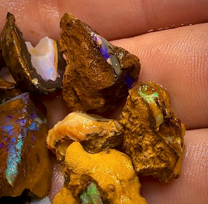 152.1cts - 15x Yowah Nut Rough Opal Parcel. Australian Boulder Opal BARGAIN