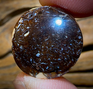 31.5cts - Love It Tribal Pattern Queensland Boulder Opal from Koroit