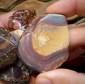 Large Queensland Boulder Opal Baroque Tribal Pattern Specimens - Opal Whisperers