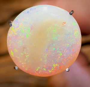 3.8cts - Solid Australian Boulder Pipe Crystal Opal - Opal Whisperers