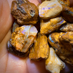 🔒307.5cts - 24x Opalised Wood/Vegetation Fossil Rough Parcel from Yowah