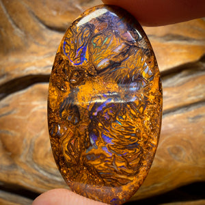 48.9cts - Tribal Yowah Nut Opal. Double Sided