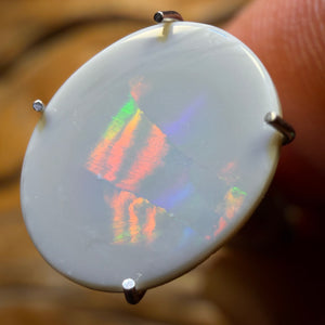1.7cts - Dark Opal from Lightning Ridge Rolling Harlequin Type