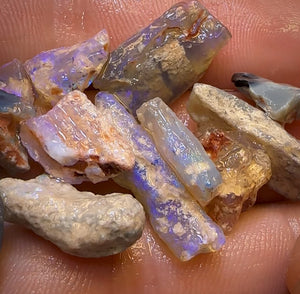 67.8cts - 15x Opalised Fossil Geological Specimens from Lightning Ridge