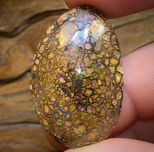 50.5cts - Yowah Nut Tribal. Australian Boulder Opal - Opal Whisperers