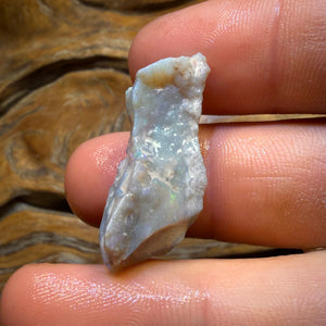 16.6cts - Lightning Ridge Dark Opal Rough Piece
