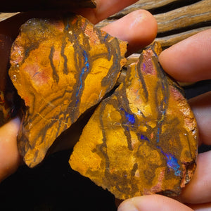 2348cts - 9x Koroit Nut Tribal Opal Rough Parcel. Australian Boulder Opal