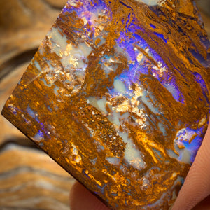 52.6cts - Vegetation Fossil Replacement Boulder Opal Rub. Double Sided!