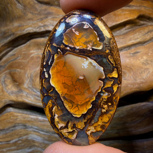 87.6cts - Yowah Nut Crystal Centre Opal. Australian Opal