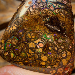 Bargain Card! 52.1cts - “Electric Swirls”Tight Tribal Queensland Boulder Opal from Yowah