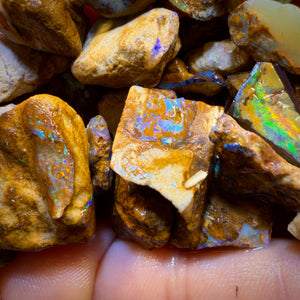 🔒451.1cts - 35x Opalised Wood/Vegetation Fossil Rough Parcel from Yowah