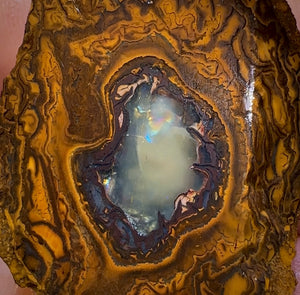 185.2cts - Yowah Nut Rough Specimen Pair. Australian Boulder Opal - Opal Whisperers